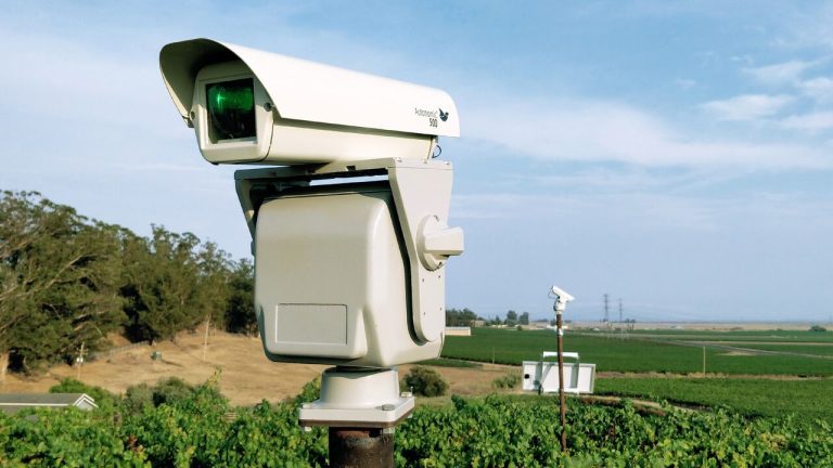 Bird Control Autonomous Lasers